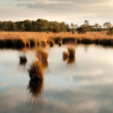 Grenshotel De Jonckheer