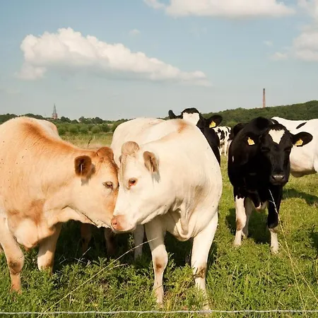 Grenshotel De Jonckheer 4* 오쎈드레트