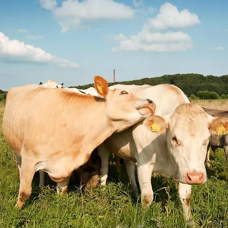 Grenshotel De Jonckheer 호텔 오쎈드레트