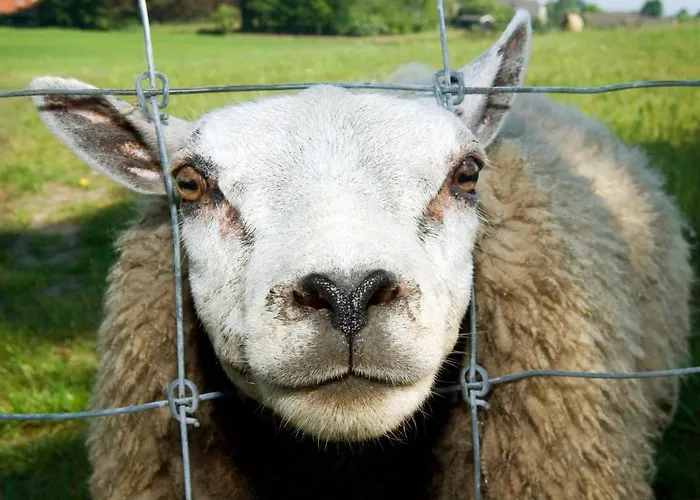 Grenshotel De Jonckheer 4*