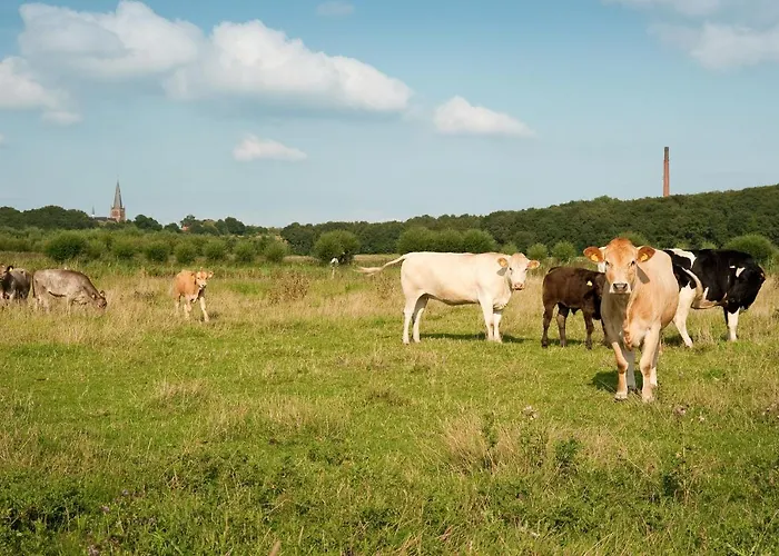 Grenshotel De Jonckheer Ossendrecht