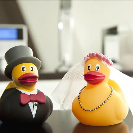 Grenshotel De Jonckheer 4*