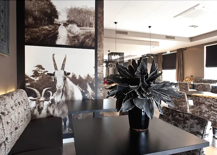 Grenshotel De Jonckheer Hotel Ossendrecht