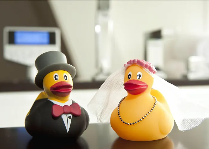 Grenshotel De Jonckheer 4*